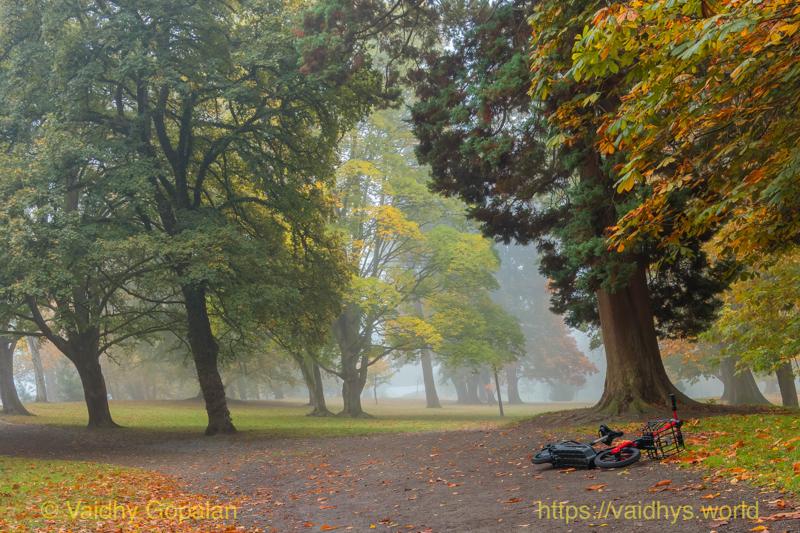 Wright Park and Stadium