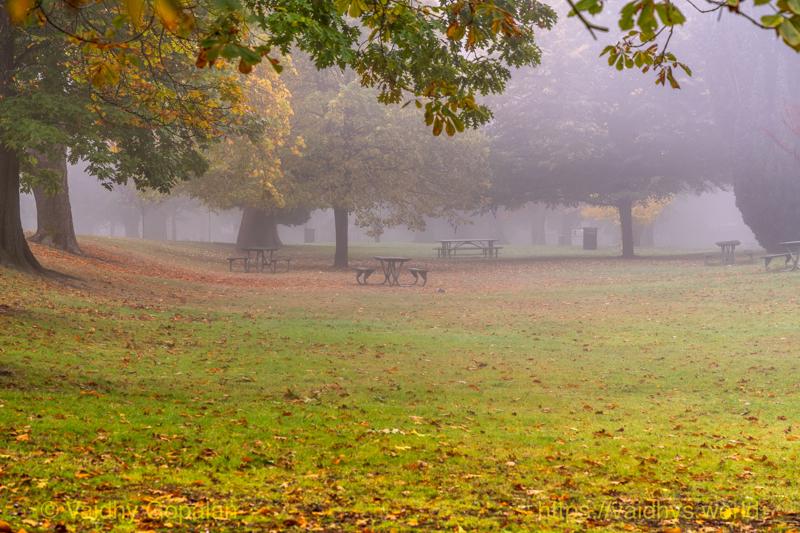 Wright Park and Stadium