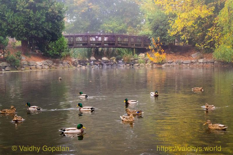 Wright Park and Stadium