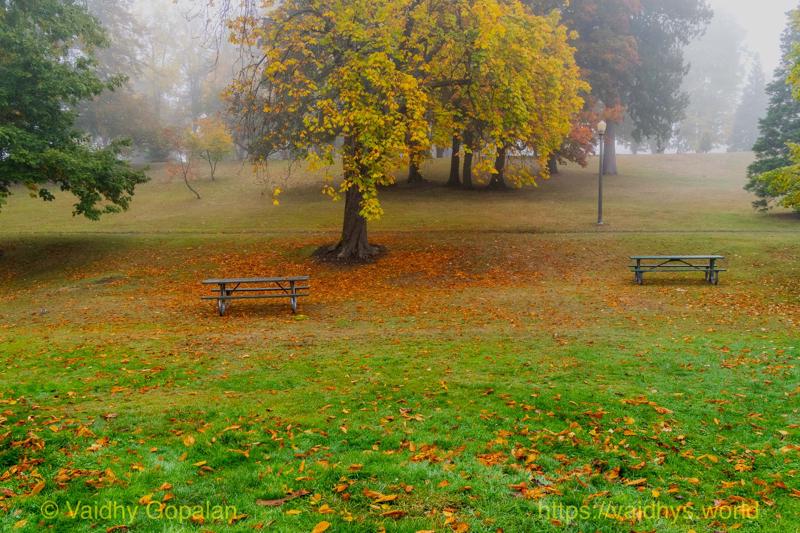 Wright Park and Stadium