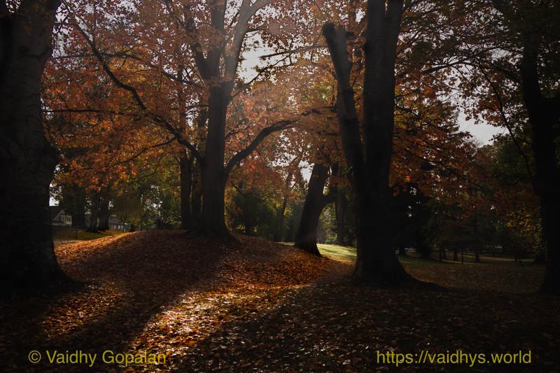Wright Park and Stadium