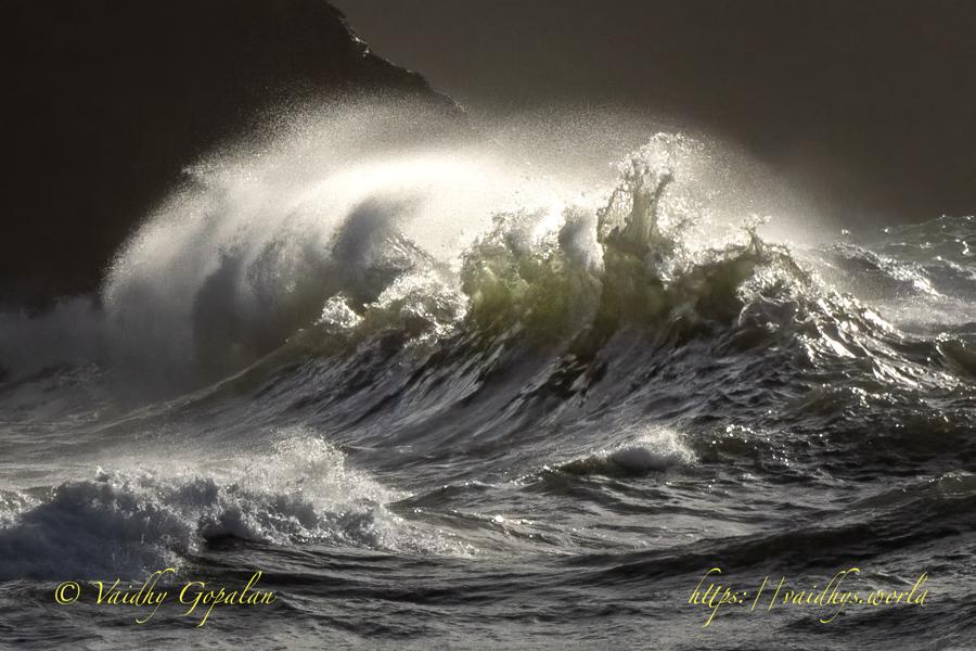 Cape Disappointment, Ilwaco, WA