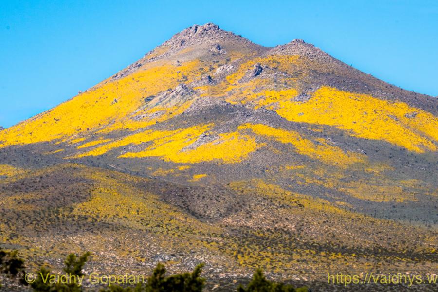 Death Valley, 2024
